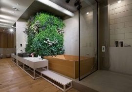Trồng cây trong nhà tắm, nên hay không?
