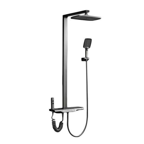 SEN CÂY NÓNG LẠNH CAO CẤP ĐỒNG MẠ PVD MÀU XÁM SC-1881