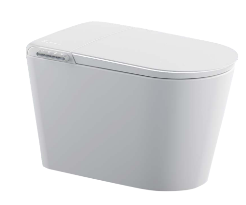 BỒN CẦU THÔNG MINH-D96