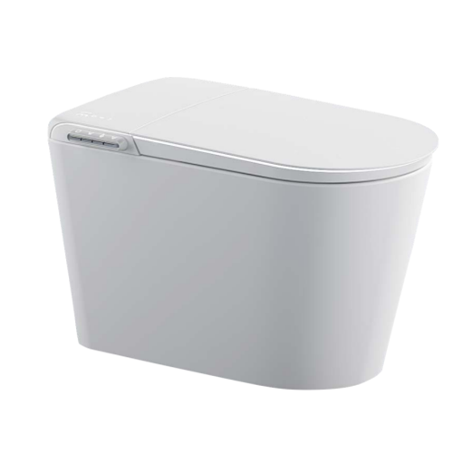 BỒN CẦU THÔNG MINH-D96